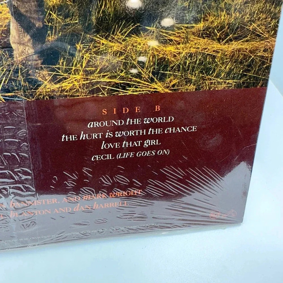 Gary Chapman - Side A & B Everyday Man Music - BMG Records Vinyl Record - Picture 3 of 6